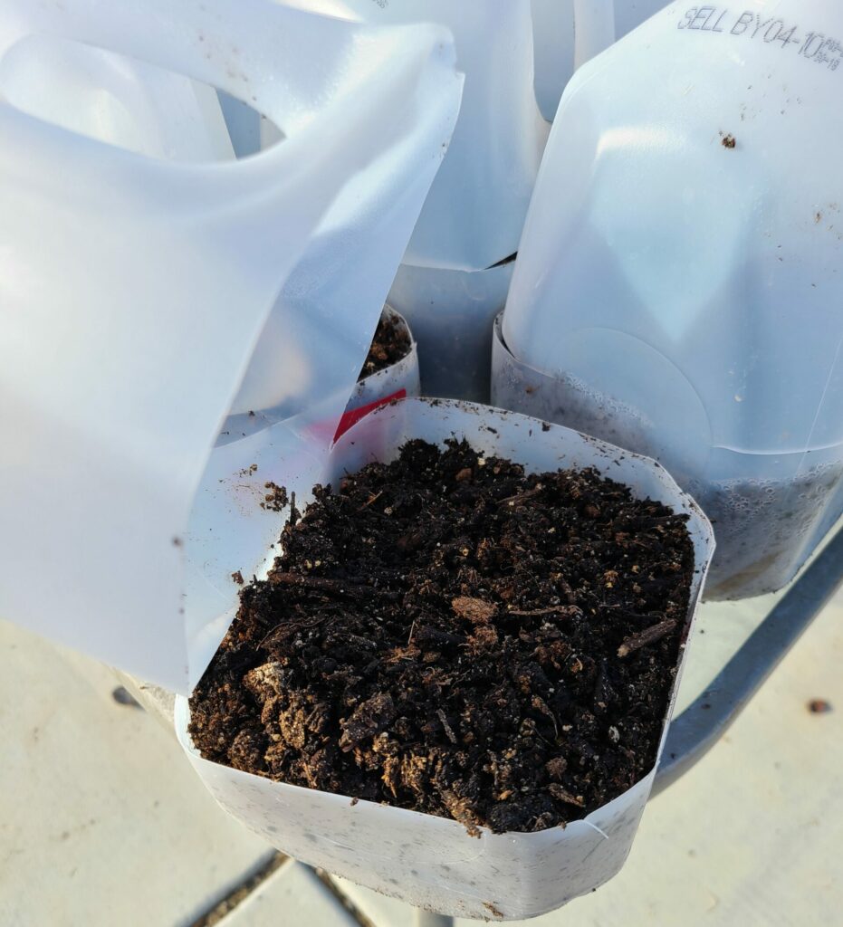 soil in milk jug