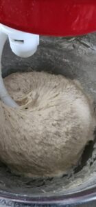 shaggy sourdough bread dough mixing in stand mixer