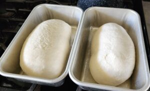 two shaped loaves of unrisen sourdough bread dough in bread pans
