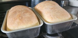 two baked loaves of sourdough bread in bread pans