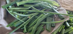 green onion stalks