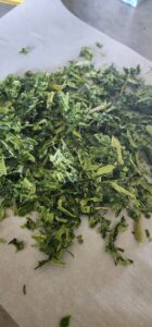 dried green onions on parchment paper