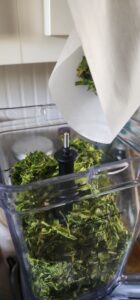 green onions in blender