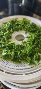 chopped green onion on round dehydrator trays