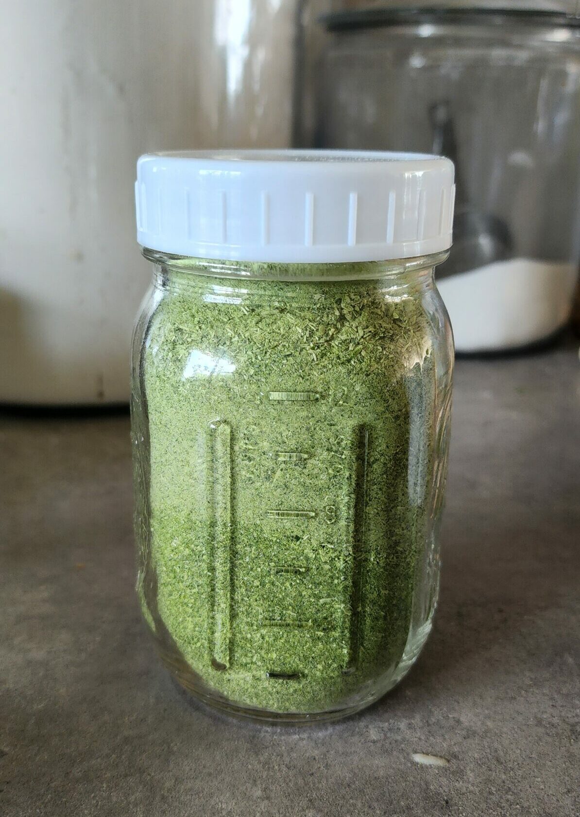 Homemade Green Onion Powder