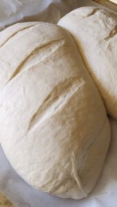 two risen, unbaked loaves of sourdough bread