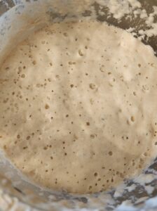 Fed active sourdough starter view from above.