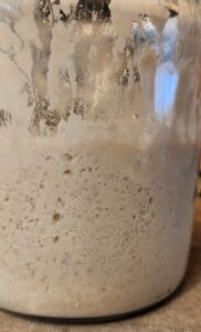 fed and active sourdough starter