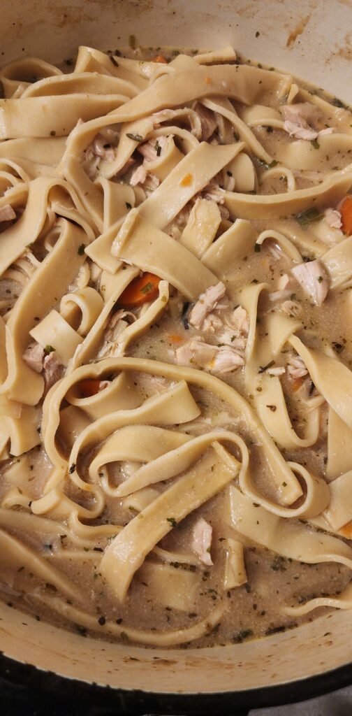 Chicken noodle soup in pot
