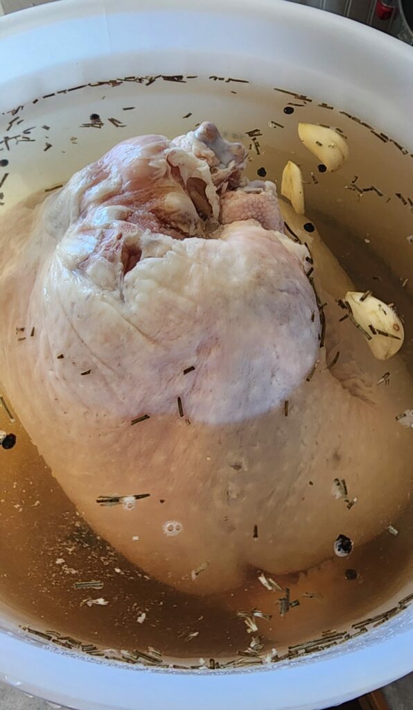 Turkey submerged in brine