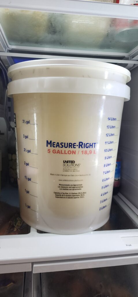 turkey brine bucket in refrigerator