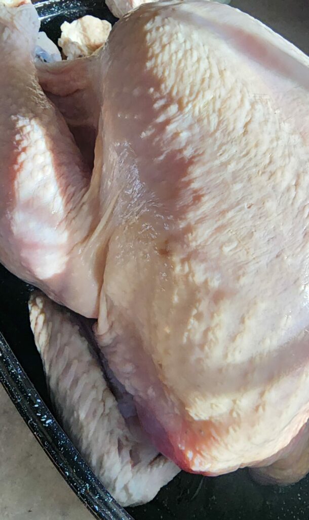 raw turkey with wings tucked underneath