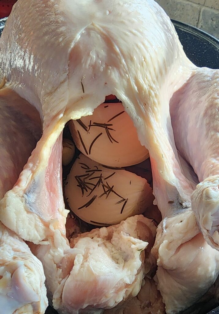 onion stuffed raw turkey