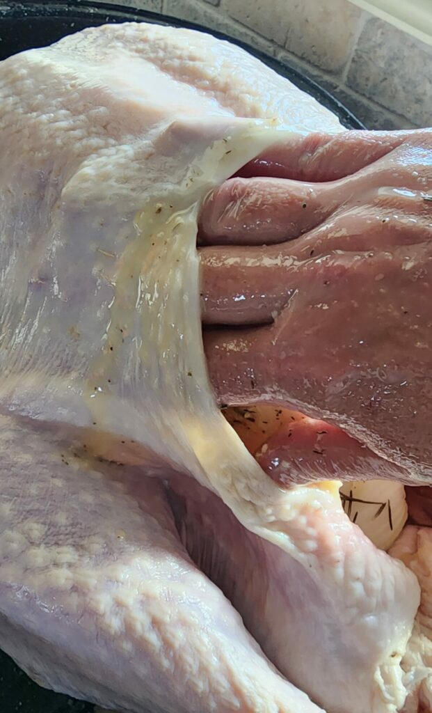 hand spreading seasoning under turkey skin