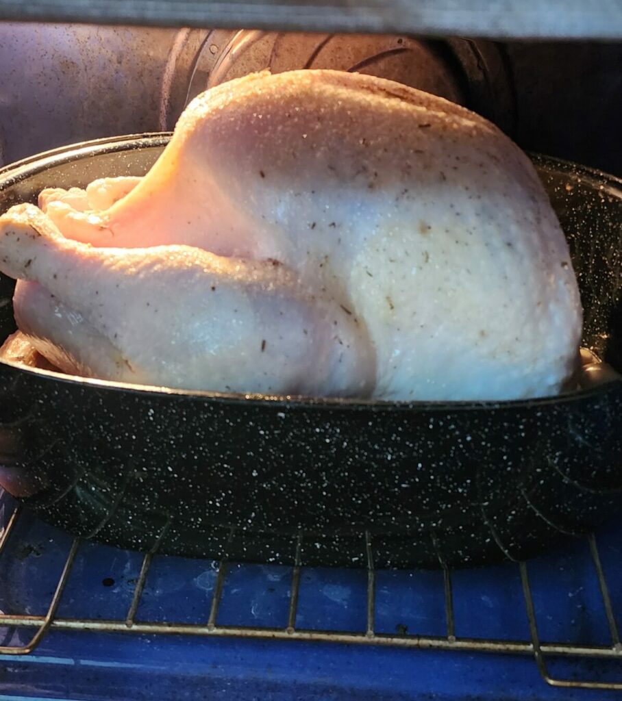 raw turkey in oven