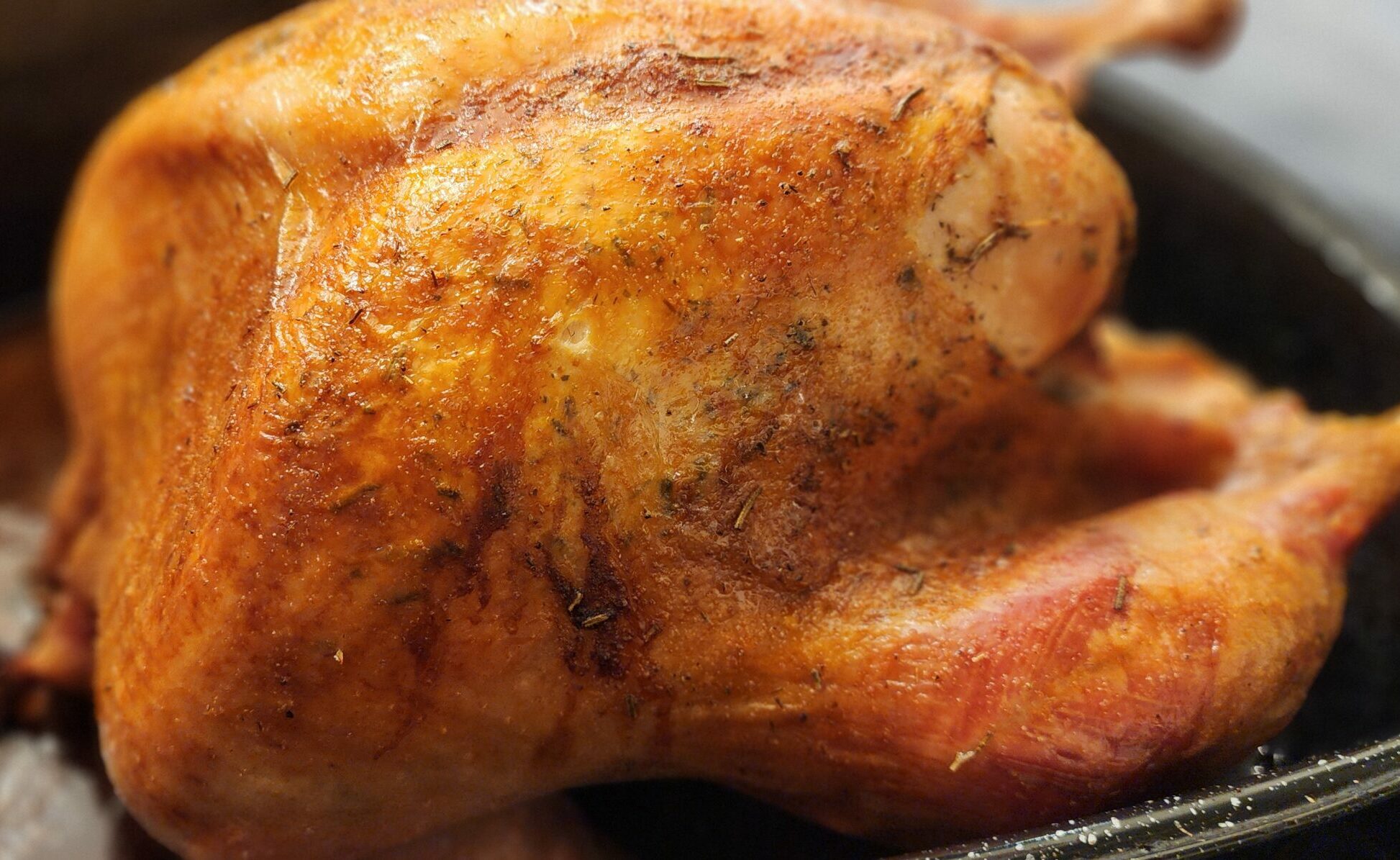 roasted turkey