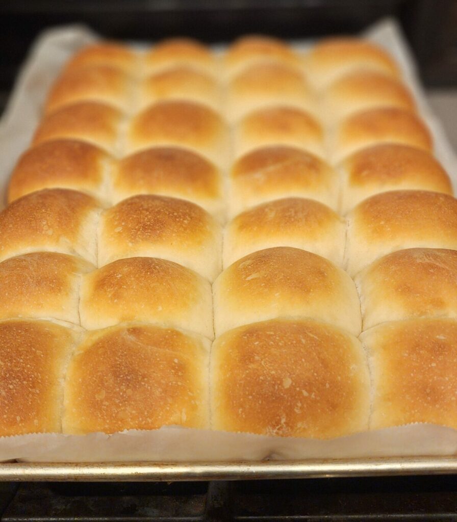 freshly baked sourdough dinner rolls
