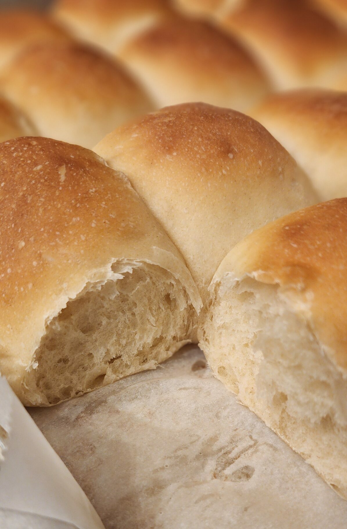 Sourdough Dinner Rolls