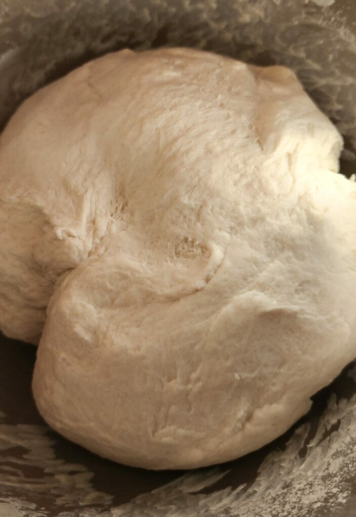 mixed sourdough french bread dough