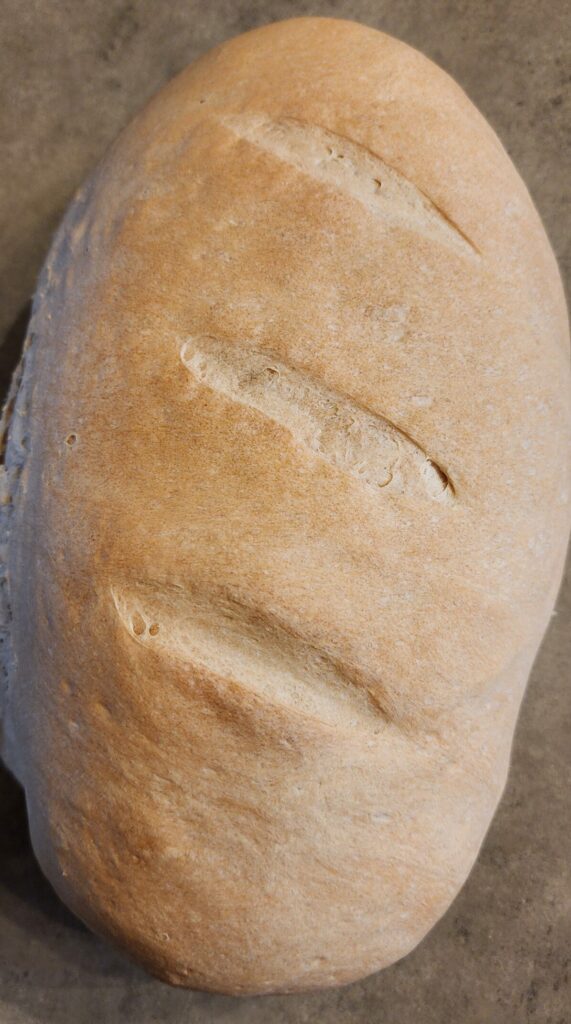freshly baked sourdough french bread